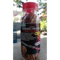 Gambar Strong Maggot Go Fish Makanan Ikan Chana Channa Limbata Blue Yellow Red - Yellow Base dari Qibil Store undefined 3 Tokopedia