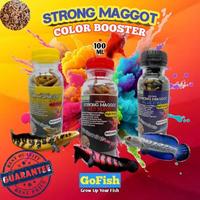 Gambar Strong Maggot Go Fish Makanan Ikan Chana Channa Limbata Blue Yellow Red - Yellow Base dari Qibil Store undefined 1 Tokopedia