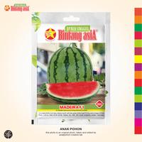 Gambar (1 PACK) Benih Semangka MADEIRA F1 Lonjong Merah Berbiji Seeds - 2 GR dari Anak Pohon undefined 1 Tokopedia