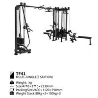 Gambar BRTW TF41 MULTI - JUNGLE ( 5 STATION ) / EQUIPMENT GYM dari TheTokoFitness undefined 2 Tokopedia