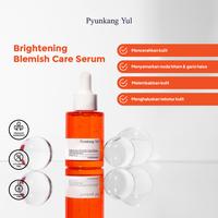 Gambar PYUNKANG YUL Brightening Blemish Care Serum 30ml dari Style Korean Indonesia undefined 1 Tokopedia