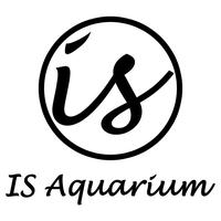 Gambar Nisso Bahari Aquarium Family Series Akuarium Premium Pabrikan - Biru, XL 60cm dari IS Aquarium undefined 3 Tokopedia
