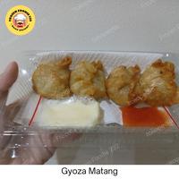 Gambar Kuotie Dumpling's / Gyoza 10pcs - 10Pcs dari FrozenFoodie732 undefined 1 Tokopedia