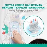 Gambar Offspring Popok Bayi Diaper SAP Twin Celana XL30 x2 + GRATIS 1xTisu20 dari Offspring Indonesia undefined 3 Tokopedia