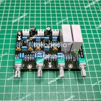 Gambar PCB Low Noise Tone Control 4 Potensio Anistardi Aeri Audio dari Ririri Shop New undefined 4 Tokopedia