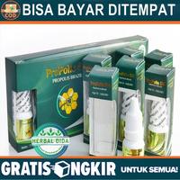 Gambar ProPolis SM Luka Basah Luka Kering Luka Bakar Luka Diabetes Luka Pasca Operasi Pengering Luka Penghilang Bekas Luka Pembersih Bekas Luka Obat Herbal Tetes Oles dari Herbalthy Store undefined 2 Tokopedia