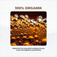 Gambar Pupuk Organik GDM Untuk Perkebunan 5Liter dari GDM Organic_NEW undefined 2 Tokopedia