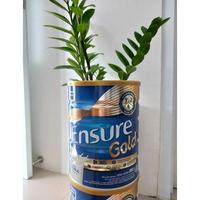 Gambar Best Seller Ensure Gold 850gr Vanilla (EXP:Juni2025) dari Rani&#39;s Food undefined 1 Tokopedia
