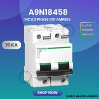 Gambar MCB C120H 2P 100A 2 Phase 100 Ampere 15kA Schneider Original SNI dari Sukses Mandiri Hokindo undefined 1 Tokopedia