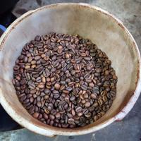 Gambar KOPI POLOS 100% ORIGINAL BUBUK KOPI ROBUSTA dari Laris Books undefined 4 Tokopedia