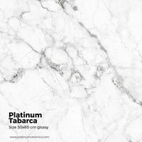 Gambar Keramik PLATINUM CERAMICS Tabarca Grey 30x60 Cm dari Putra Prabu Keramik undefined 2 Tokopedia