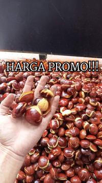Gambar Jengkol Tua Mentah 1000gram/1kg dari BGR73 undefined 1 Tokopedia