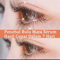 Gambar Serum Penumbuh Bulu Mata Cairan Penebal Alis Eyelash Liquid Castour Oil Herbal Alami dari GrosTech undefined 4 Tokopedia