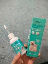 Gambar PURRY EAR DROP FOR PETS 50ml CAT & DOG Pembersih Kuping Telinga Kucing Anjing dari Puffy.Petto undefined 2 Tokopedia