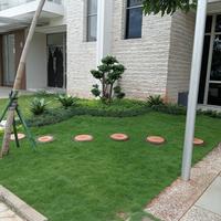 Gambar pembuatan taman dik PIK 2 HP 085211551571 Supriyadi dari kiosbunga99 undefined 4 Tokopedia