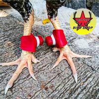 Gambar Bungkus Jalu Ayam Bahan Kaleb Pelindung Jalu Kaki Ayam Bangkok Tarung Sarung Pembungkus Jalu Taji Kaki Ayam Bangkok Laga Aduan - Merah dari 88TOP GROSIR undefined 2 Tokopedia