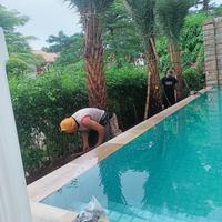 Gambar penanaman pohon di pantai mutiara di rumah haji Robert hp 085211551571 dari kiosbunga99 undefined 5 Tokopedia