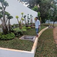Gambar penanaman pohon di pantai mutiara di rumah haji Robert hp 085211551571 dari kiosbunga99 undefined 1 Tokopedia