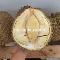 Gambar Durian montong utuh Palu 4,5kg Jumbo Manis Bergaransi dari Durian Harum_NEW undefined 5 Tokopedia