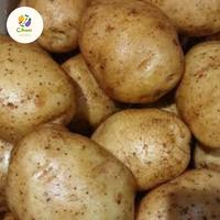 Gambar kentang dieng murah 1kg dari cihuni bandung undefined 2 Tokopedia