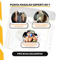 Gambar Muscle First Gold Pro BCAA 300 Grams / bubuk fitness gym m1 suplemen - Grape Bush, Tanpa Bonus dari BodyFitStation undefined 3 Tokopedia