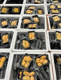 Gambar Durian Musang King Sultan Malaysia Frozen 400 Gram Fresh Import dari CoffeeCago undefined 2 Tokopedia