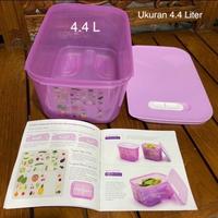 Gambar Tempat Buah, sayur, cabe, tomat, Tupperware wadah di Kulkas Frigesmart - 1 pc Ungu 460ml dari Tokoantum undefined 2 Tokopedia