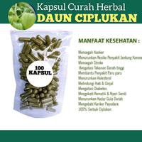 Gambar Curah Kapsul Ciplukan(Isi 100Pcs)Obat Herbal dari ags jaya_NEW undefined 1 Tokopedia