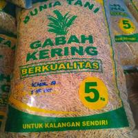 Gambar Benih padi KABIR 07 5kg dari azizi_308 undefined 1 Tokopedia