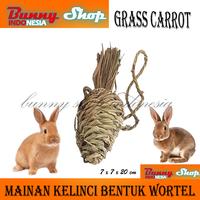 Gambar Mainan gigitan kelinci dari hay bentuk wortel dari Bunny Shop Indonesia undefined 1 Tokopedia