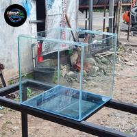 Gambar AQUARIUM 40X40X40 MURMER dari ANISA AQUARIUM undefined 1 Tokopedia