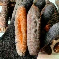 Gambar B4y HAISOM SUPER BANGKA BELITUNG KERING PER EKOR BERKUALITAS BESAR - L dari SETIA2095293 undefined 1 Tokopedia
