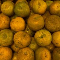 Gambar Jeruk Medan Grade A 1 kg dari RieFresh Buah undefined 4 Tokopedia