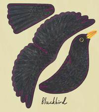 Gambar Birds of a Feather dari Beebalmbooks undefined 4 Tokopedia