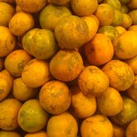 Gambar Jeruk Medan Grade A 1 kg dari RieFresh Buah undefined 3 Tokopedia