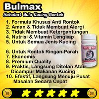 Gambar [bm32] Obat Penumbuh Bulu Kucing Nutrisi Bulmax Penyubur Bulu Kucing dari Cantikin Store undefined 2 Tokopedia
