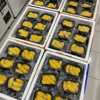 Gambar Durian Musangking Frozen - Durian_Nylekamin dari DURIAN NYLEKAMIN undefined 4 Tokopedia