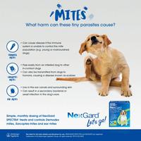 Gambar NexGard Dog X-Small 2 - 3,5KG Obat Kutu Anjing Demodex Scabies - BOX dari NEXGUARD PET STORE undefined 5 Tokopedia