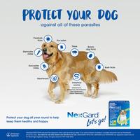 Gambar NexGard Dog X-Small 2 - 3,5KG Obat Kutu Anjing Demodex Scabies - BOX dari NEXGUARD PET STORE undefined 3 Tokopedia