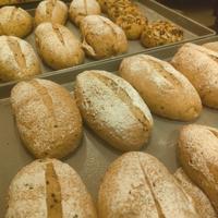 Gambar Cranberry Creamcheese Soft Sourdough Bread - Nut and Seeds dari LAVANIA HEALTHY BAKERY undefined 3 Tokopedia