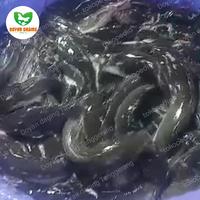 Gambar Ikan Lele hidup segar fresh 1kg, 1 kg, 1000 gram dari Doyan daging Tanggerang undefined 2 Tokopedia