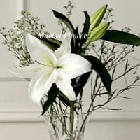 Gambar Bunga lily putih segar per tangkai dari Murisa Flower undefined 1 Tokopedia
