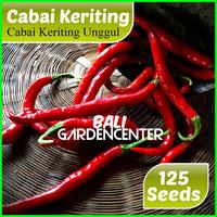Gambar Benih Biji Cabe Cabai Keriting - Cabai Keriting Unggul dari Bali Gardencenter undefined 1 Tokopedia