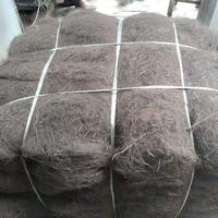 Gambar ijuk septic tank atau ijuk saringan pembuangan dari Sumber Mulya Ijuk Tasikmalaya undefined 3 Tokopedia