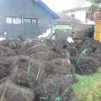 Gambar ijuk resapan/filter/saringan/septic tank/sumur dari Sumber Mulya Ijuk Tasikmalaya undefined 2 Tokopedia