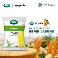 Gambar Benih Jagung NK 7328 | NK SUMO - 1Kg dari Benih NK undefined 1 Tokopedia