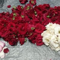 Gambar Bunga mawarr kelopak mix asli segar CIMAHI BDG PADALARANG . dari tacha florist undefined 3 Tokopedia