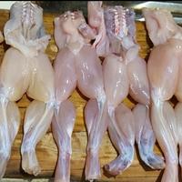 Gambar kodok swike daging 1kg dari Sayurmayur fresh mart undefined 3 Tokopedia