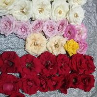 Gambar Bunga mawarr kelopak mix asli segar CIMAHI BDG PADALARANG . dari tacha florist undefined 1 Tokopedia