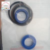 Gambar 5190591 seal kit cylinder steering depan TT45 NEW HOLLAND dari ABADI JAYA DIESEL undefined 2 Tokopedia